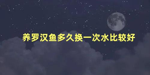 养罗汉鱼多久换一次水比较好