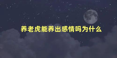 养老虎能养出感情吗为什么