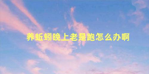 养蚯蚓晚上老是跑怎么办啊