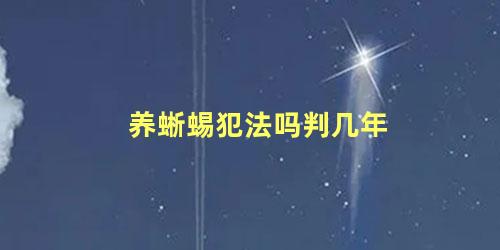 养蜥蜴犯法吗判几年