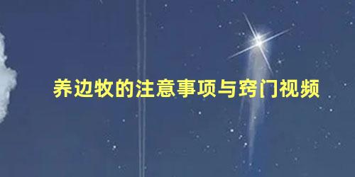 养边牧的注意事项与窍门视频