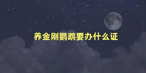 养金刚鹦鹉要办什么证