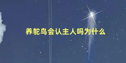养鸵鸟会认主人吗为什么