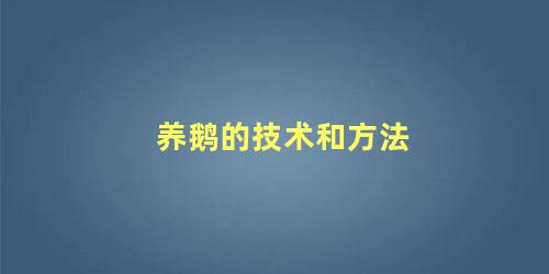 养鹅的技术和方法