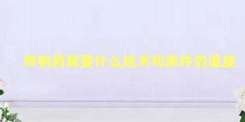 养鹌鹑需要什么技术和条件的温度