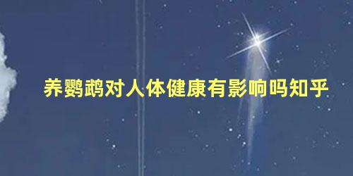 养鹦鹉对人体健康有影响吗知乎