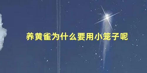 养黄雀为什么要用小笼子呢
