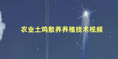 农业土鸡散养养殖技术视频