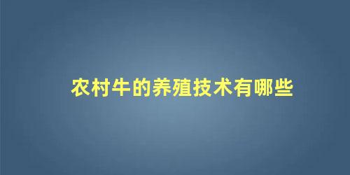 农村牛的养殖技术有哪些