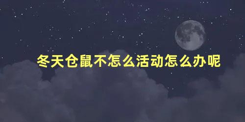冬天仓鼠不怎么活动怎么办呢