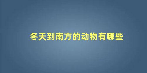 冬天到南方的动物有哪些