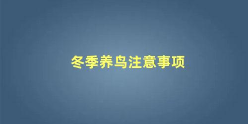 冬季养鸟注意事项