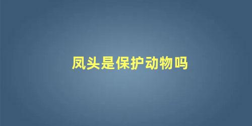 凤头是保护动物吗