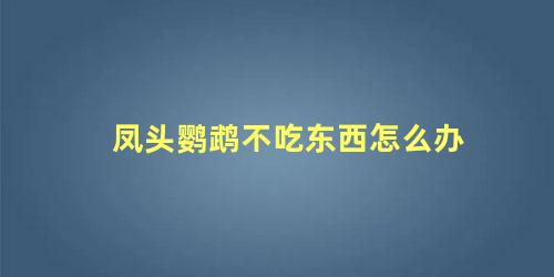 凤头鹦鹉不吃东西怎么办