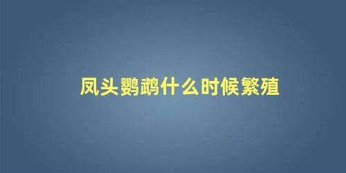 凤头鹦鹉什么时候繁殖