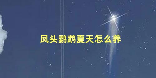 凤头鹦鹉夏天怎么养
