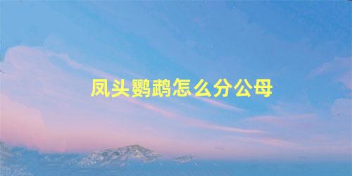 凤头鹦鹉怎么分公母