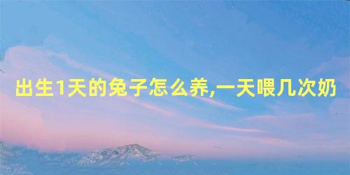 出生1天的兔子怎么养,一天喂几次奶