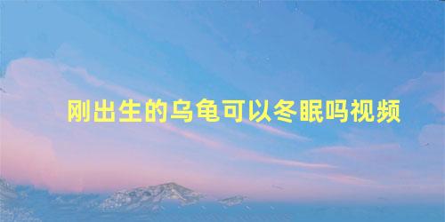刚出生的乌龟可以冬眠吗视频