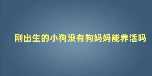 刚出生的小狗没有狗妈妈能养活吗