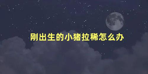 刚出生的小猪拉稀怎么办