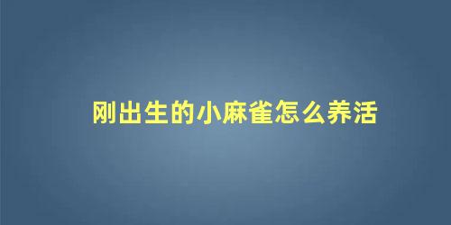 刚出生的小麻雀怎么养活