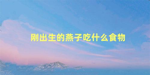 刚出生的燕子吃什么食物