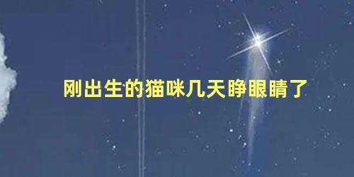 刚出生的猫咪几天睁眼睛了