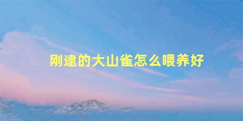 刚逮的大山雀怎么喂养好