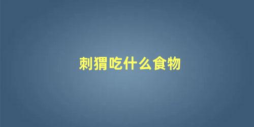 刺猬吃什么食物