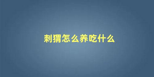 刺猬怎么养吃什么