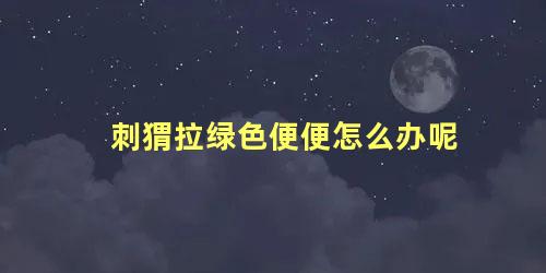 刺猬拉绿色便便怎么办呢