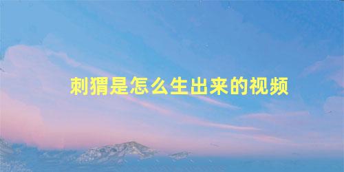 刺猬是怎么生出来的视频