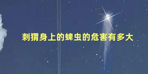 刺猬身上的蜱虫的危害有多大