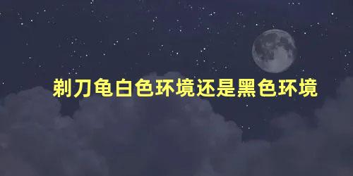 剃刀龟白色环境还是黑色环境
