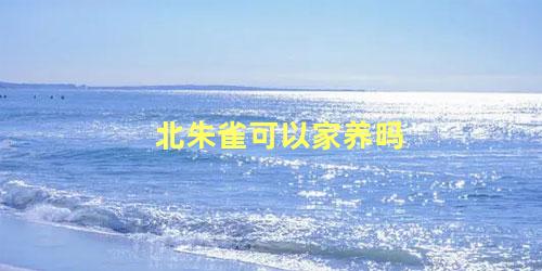 北朱雀可以家养吗