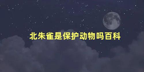 北朱雀是保护动物吗百科
