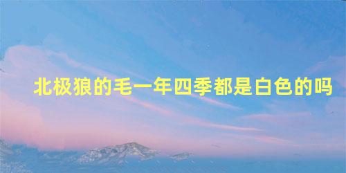 北极狼的毛一年四季都是白色的吗