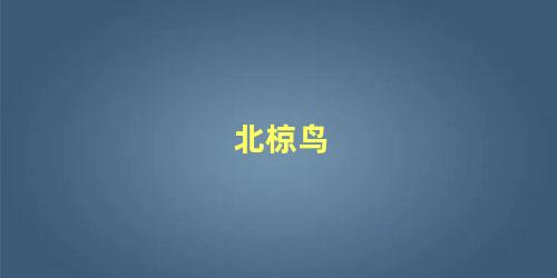 北椋鸟