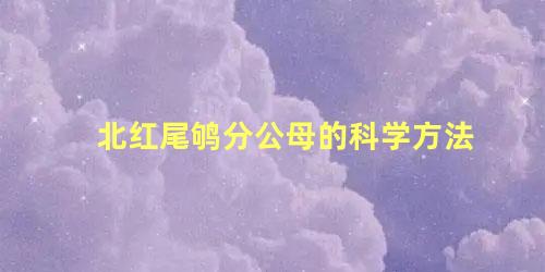 北红尾鸲分公母的科学方法