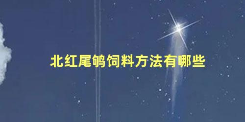 北红尾鸲饲料方法有哪些