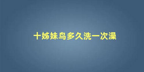 十姊妹鸟多久洗一次澡