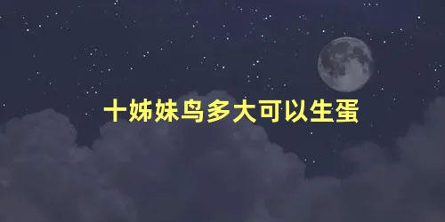 十姊妹鸟多大可以生蛋