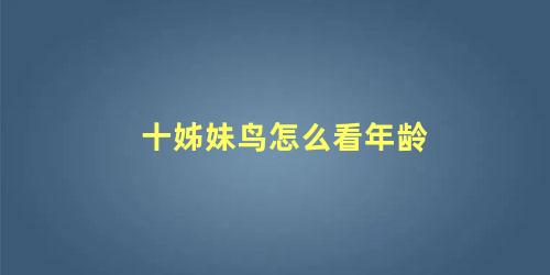 十姊妹鸟怎么看年龄