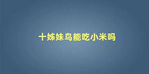 十姊妹鸟能吃小米吗