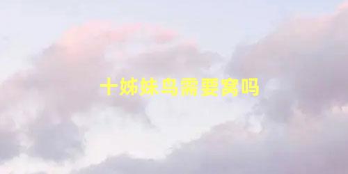 十姊妹鸟需要窝吗