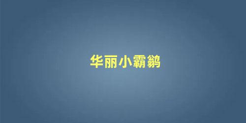 华丽小霸鹟