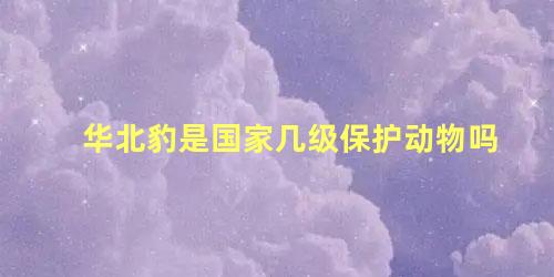 华北豹是国家几级保护动物吗