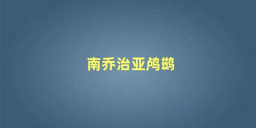 南乔治亚鸬鹚