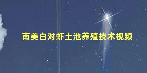 南美白对虾土池养殖技术视频